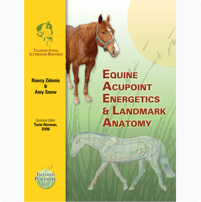 Equine acupoint energetics book | Manual | Landmark anatomy book