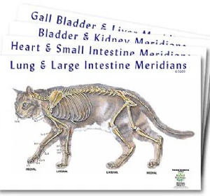 Feline 5-Element Meridian Charts