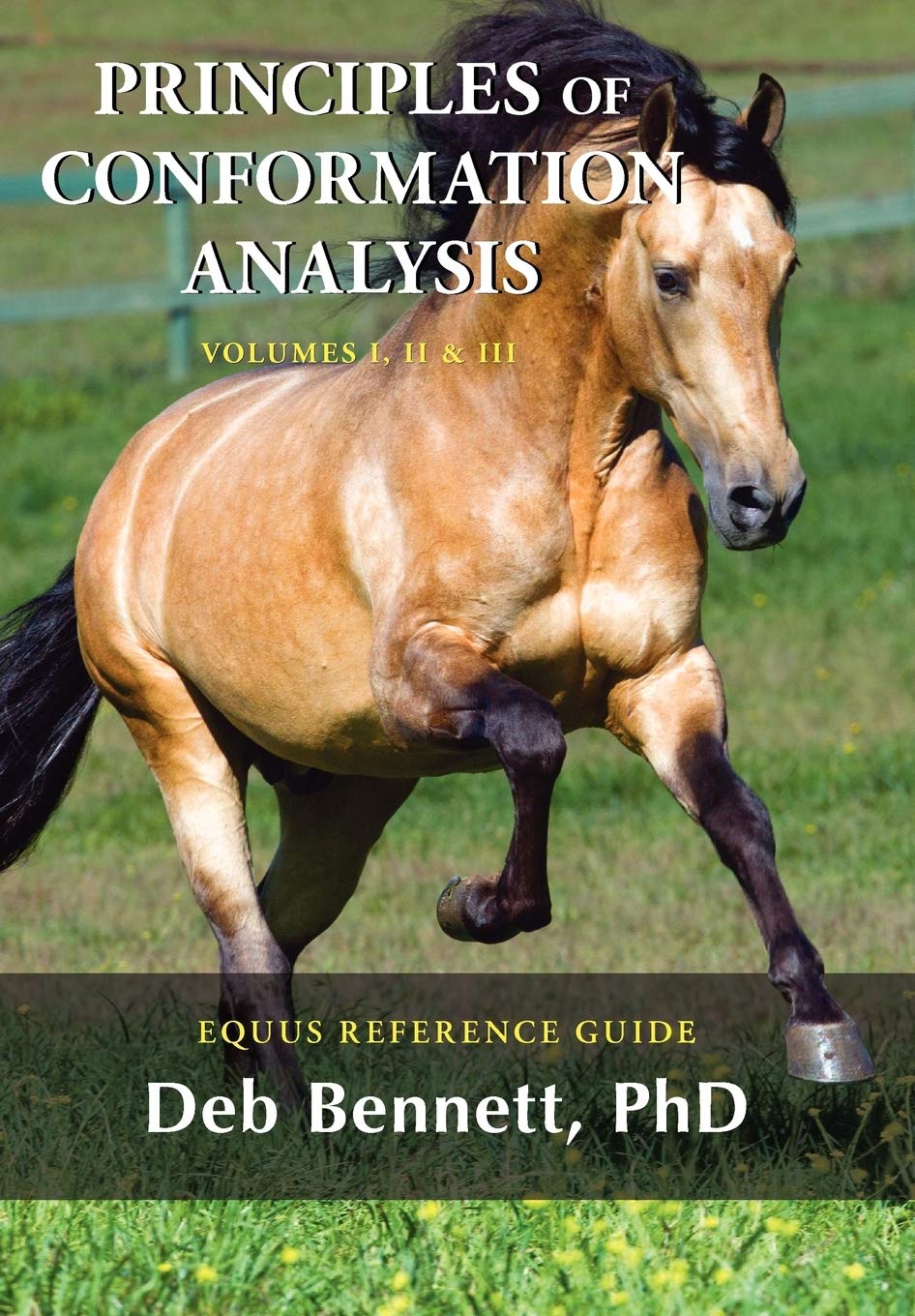 Principles of Conformation Analysis: Equus Reference Guide – by Deb Bennett (Author)