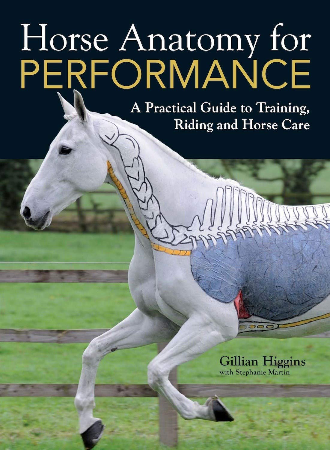 Horse Anatomy for Performance – by Gillian Higgins (Author)