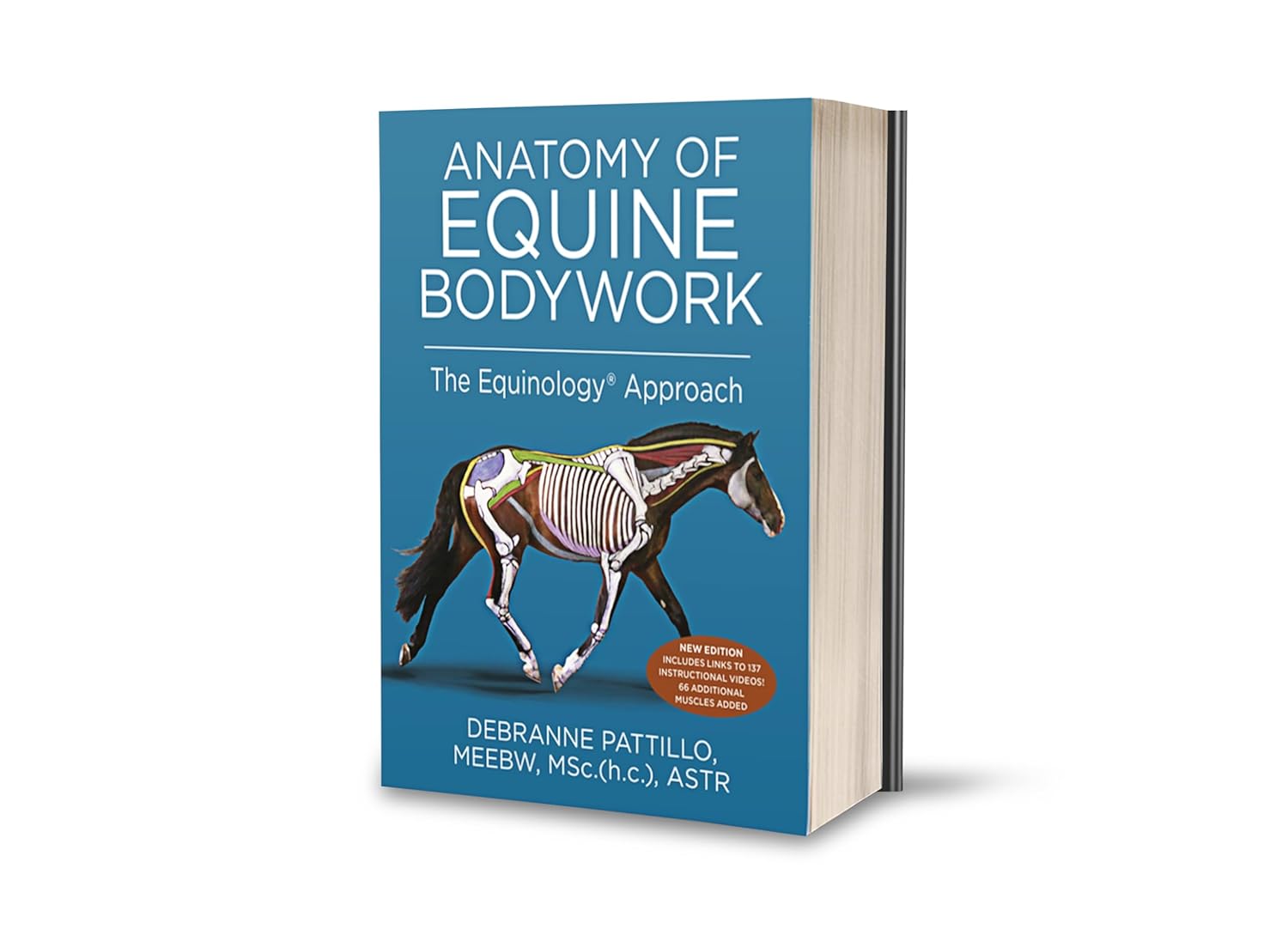Anatomy of Equine Bodywork: The Equinology® Approach: 2025 Edition Hardcover – by ASTR Debranne Pattillo, MEEBW, MSc. (h.c.) (Author)