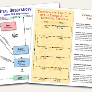 Zang Fu pattern identification study guide | Patterns chart