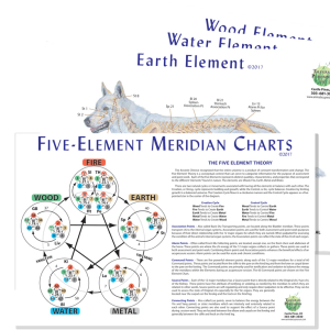 Canine 5-Element Meridian Chart Set