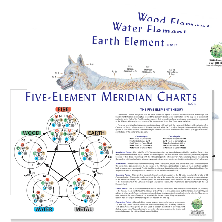 Canine 5-Element Meridian Chart Set