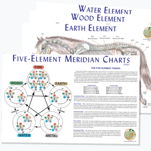 Equine 5-Element Meridian Charts