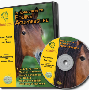 Digital-Intro to Equine Acupressure DVD