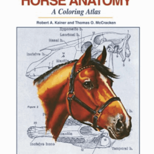 Horse Anatomy: A Coloring Atlas Spiral-bound – January 1, 1998 by Robert A Kainer (Author), Thomas O McCracken (Author)