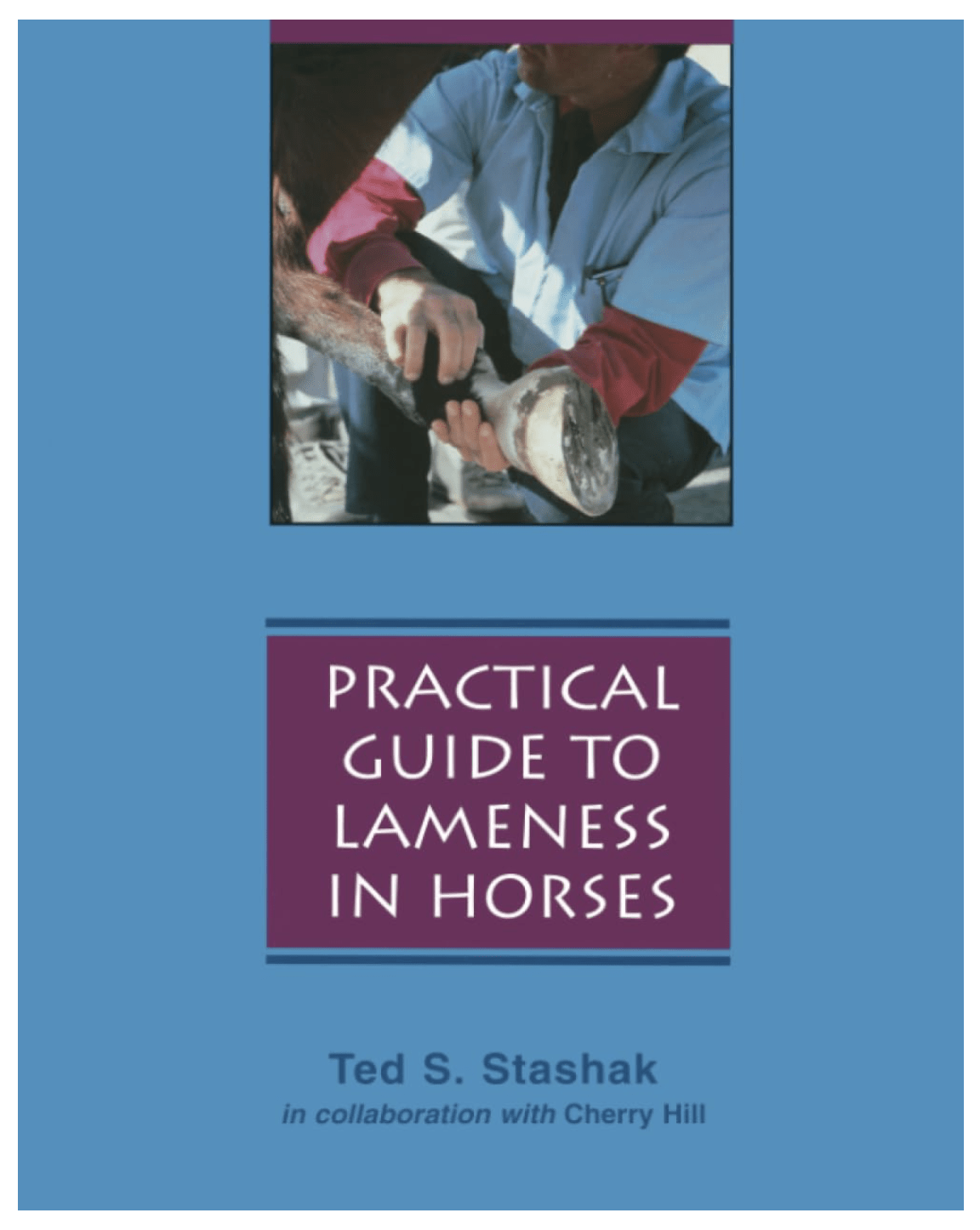 Practical Guide To Lameness In Horses 4th Edition, Updated by Ted S. Stashak (Author)